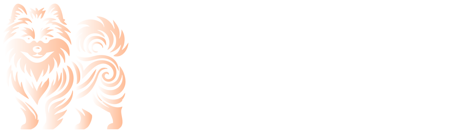 Élevage Pomsky Occitanie · Pomsky Toy & Mini – Mini Pomsky